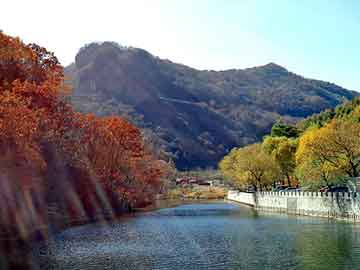 新澳天天开奖资料大全旅游团，上海汽车论坛